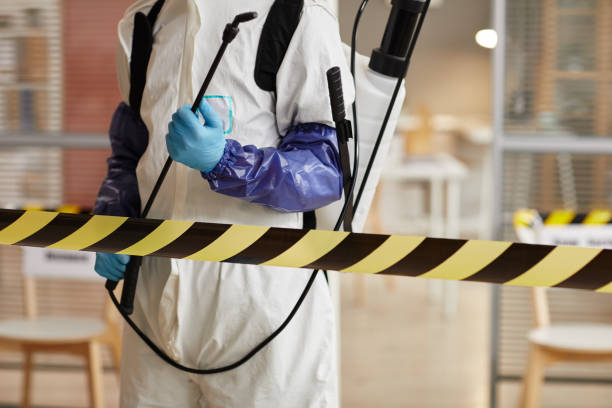 Professional Sewage Cleanup technician working in Fulton, NY